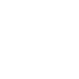 firepit icon