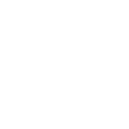 toilets icon